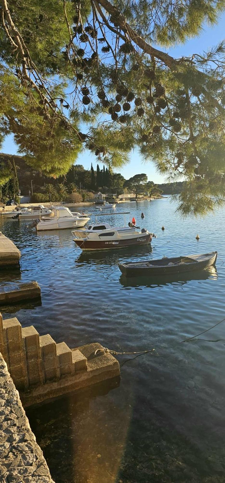 Seaview Elegance * Zaton (Dubrovnik-Neretva)